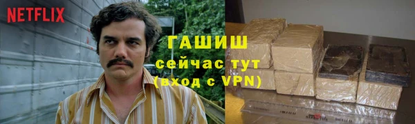 стаф Алзамай