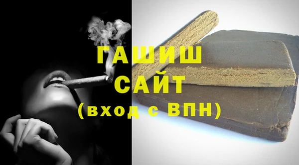 стаф Алзамай
