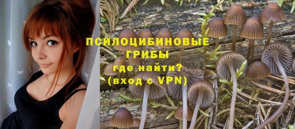 спайс Алексин