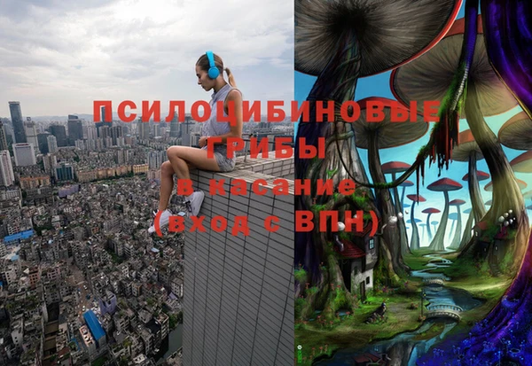 спайс Алексин