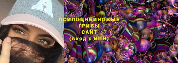 spice Алексеевка