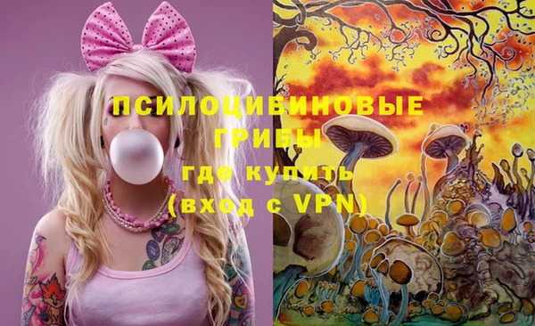 spice Алексеевка