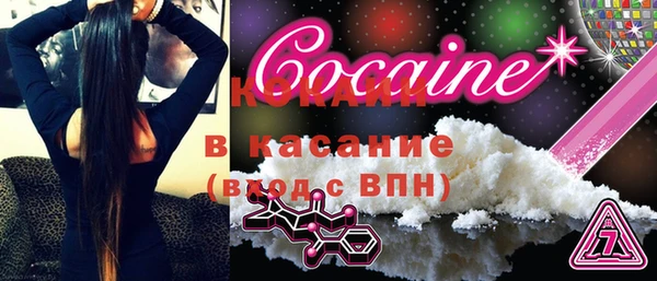 стаф Алзамай